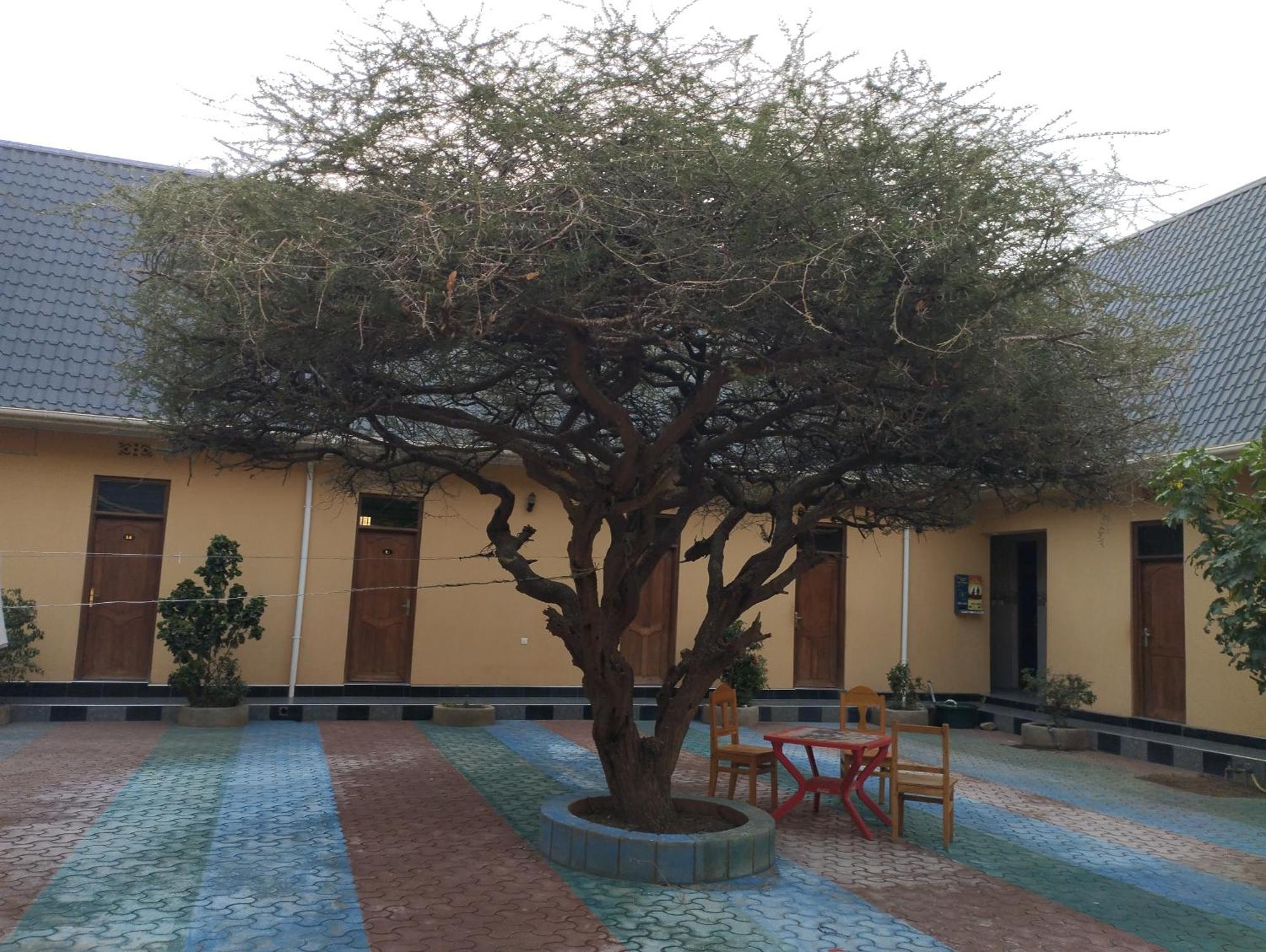 Lake Eyasi Safari Motel Mangola Экстерьер фото